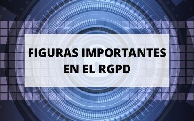 Figura del responsable del fichero y encargado del tratamiento